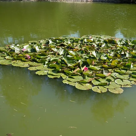 Maison Et Etang De Peche, Vosges Dom wakacyjny *