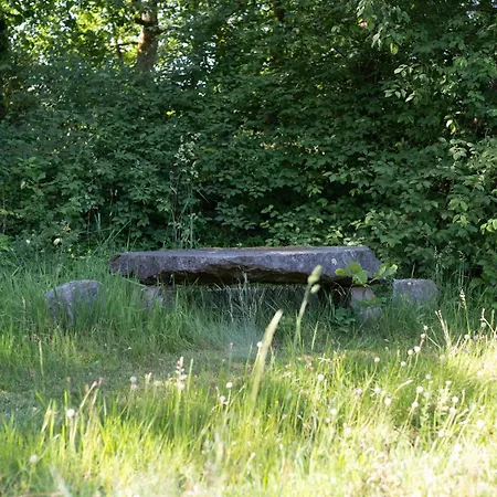 Maison Et Etang De Peche, Vosges * Vagney