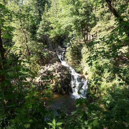 Dom wakacyjny Maison Et Etang De Peche, Vosges